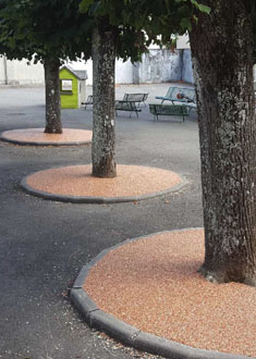 CDMR Aménagement Urbain tour arbre